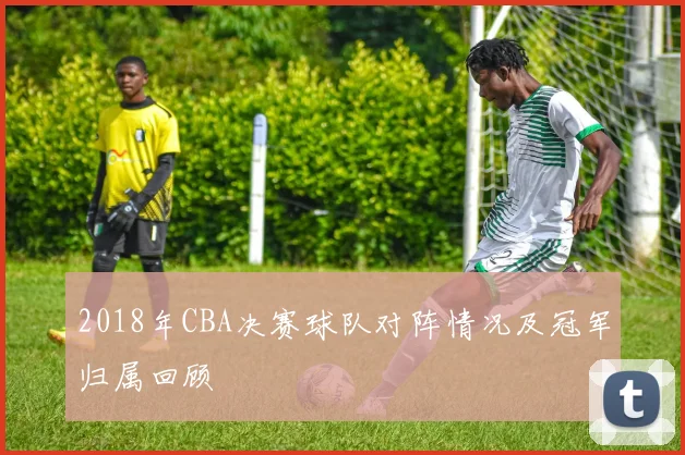 2018年CBA决赛球队对阵情况及冠军归属回顾