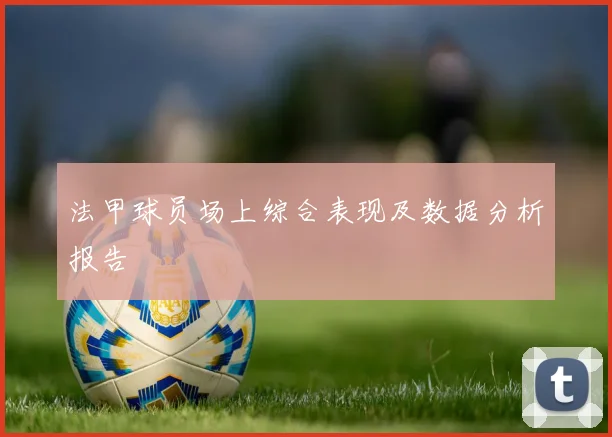 法甲球员场上综合表现及数据分析报告