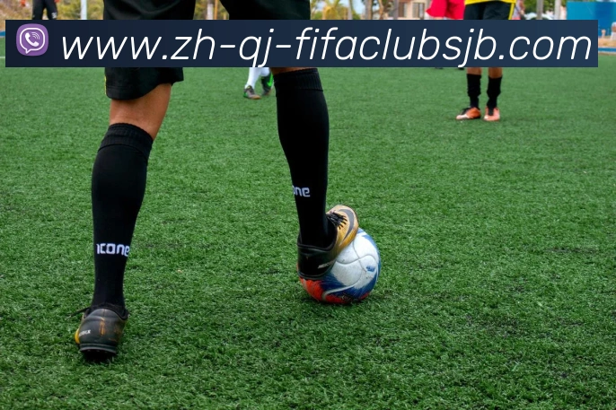 法甲顶级射手得分效率与进球分布分析